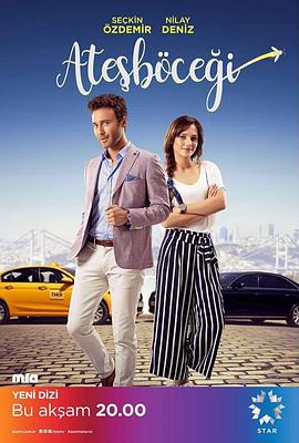 萤火虫2017(全集)