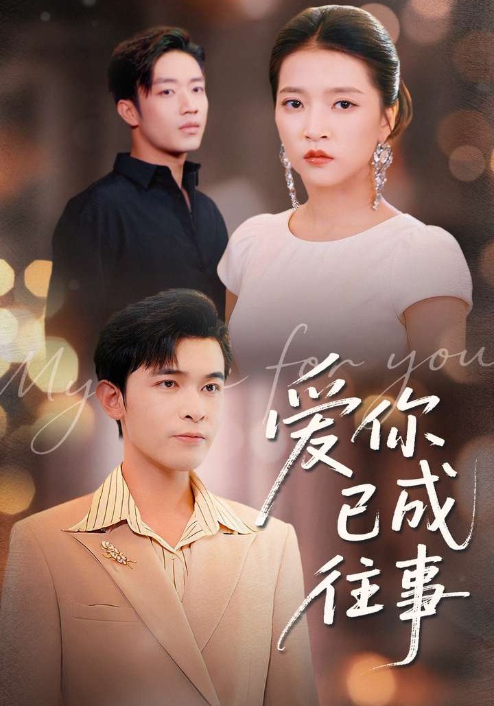 爱你已成往事(全集)