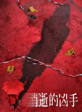 消失的凶手2026(全集)