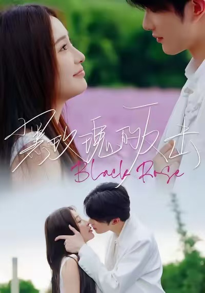 黑玫瑰的反击(全集)